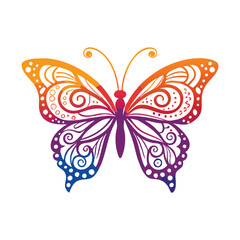 Colorful Butterfly Vector Illustration on White Background