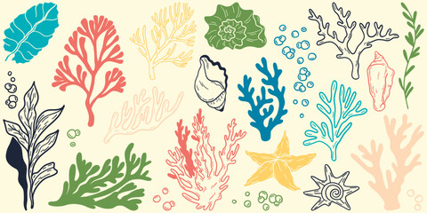 Flat outline seaweed and coral. Abstract organic shape, underwater plant, Matisse element, cute sea drawing. Cartoon sea floral set. Trendy minimal vector set.