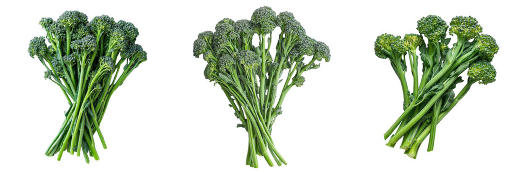 Triptych of fresh broccolini bunches.