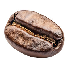 Single Coffee Bean Isolated  white and transparent background