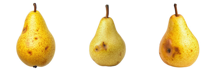 Triptych of a speckled yellow pear with blemishes.