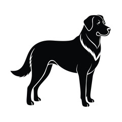Anatolian Shepherd Dog vector silhouette