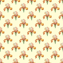 Yellow orange classic watercolor iris vector botanical floral seamless pattern surface design