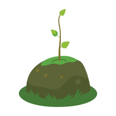  Moss growing over a small stone