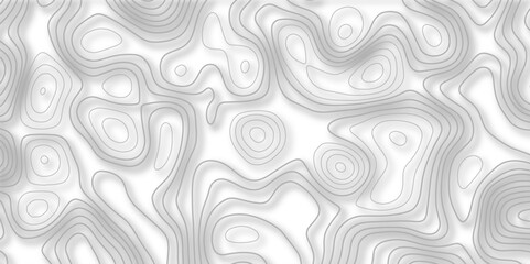 Fototapeta premium Abstract lines background Topographic map patterns White wave paper curved reliefs abstract background.Vector illustration