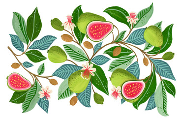 Decorative hand drawn ornament featuring blooming branches with whole and sliced guava fruits and flowers