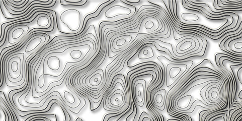Abstract lines background Topographic map patterns White wave paper curved reliefs abstract background.Vector illustration