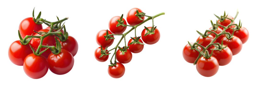 Triptych of vineripened cherry tomatoes on the vine.