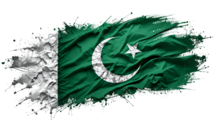 flag of Pakistan victor and remove background 