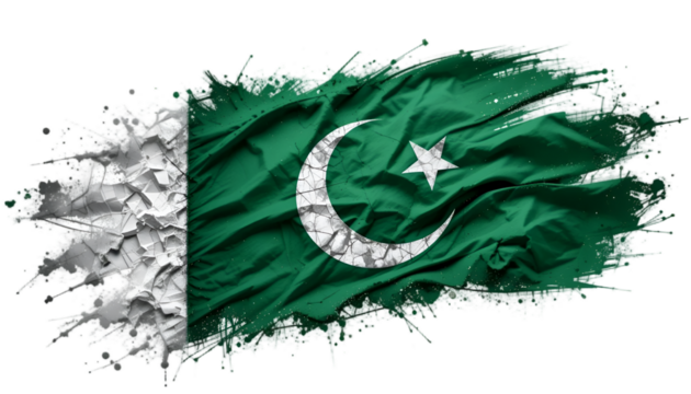 flag of Pakistan victor and remove background - Powered by Adobe