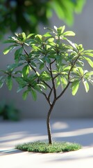 Obraz premium A stunning low poly 3D rende of a large breadfruit tree, showcasing intricate details of its leaves and trunk against a softly blurred background, ideal for botanical