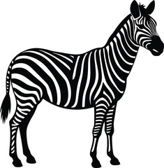 Fototapeta premium zebra vector illustration