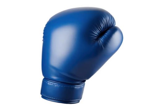 Rear View of a Boxing Glove on a Transparent Background