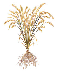 Fototapeta premium rice-related illustrations and smart farming technologies, focusing on grains, plants, cultivation, and innovative agricultural solutions for commercial use.
