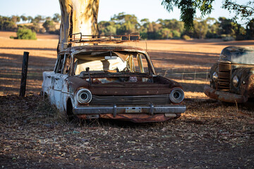 abandoned, rusted vintage car with shattered windows, sitting in a dry, rural paddock surrounded by eucalyptus leaves and trees