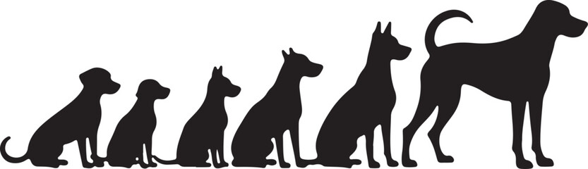 "Puppy to Dog – Growth Silhouette Evolution"

