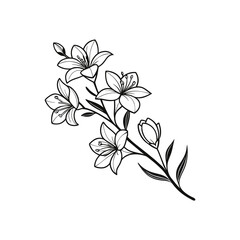 Mandala vector illustration of a decorative snowflake