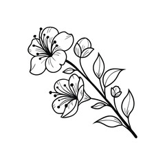 Mandala vector illustration of a decorative snowflake