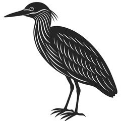 Striated heron silhouette vector illustration