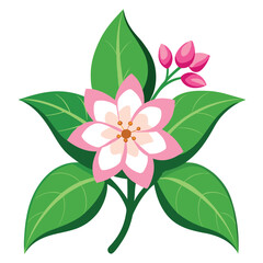 weigela flower vector art on white  background 
