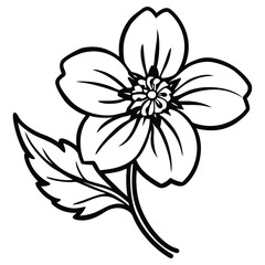 black and white flower