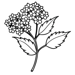 black and white silhouette of a tree