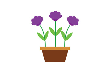 Obraz premium pink hyacinth in pot