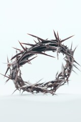 Fototapeta premium Symbolic representation of suffering and sacrifice with a crown of thorns on a plain background