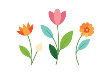Fototapeta premium bouquet of flowers