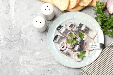 Pieces of delicious herring with spices and onions served on grey textured table, flat lay. Space...