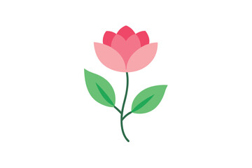 Fototapeta premium pink rose isolated on white background