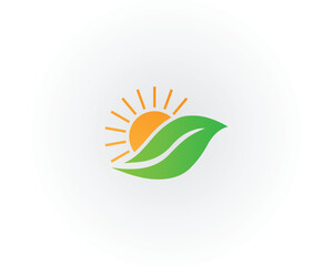 Leaf and sun logo template design vector icon