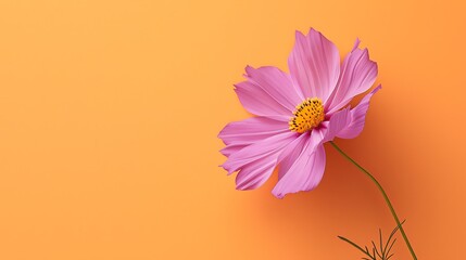 flower on a wooden background