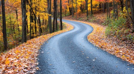 Obraz premium Winding road through autumn foliage.