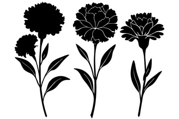 set of Carnation Flower silhouette vector illustration