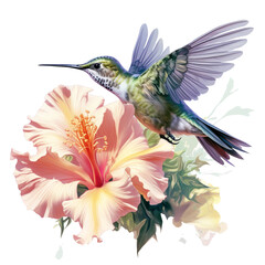 Obraz premium hummingbird and flower on white background