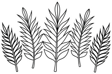 Coontie Leaf Line Art Illustration Creative Design for Artwork 