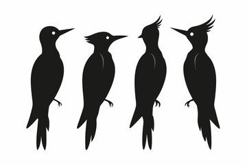 Naklejka premium set of Woodpecker silhouette vector illustration