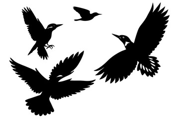 set of Woodpecker silhouette vector illustration