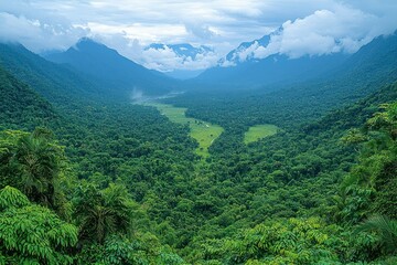 Naklejka premium Serene Rainforest Valley Panorama: Lush Green Canopy, Majestic Mountains