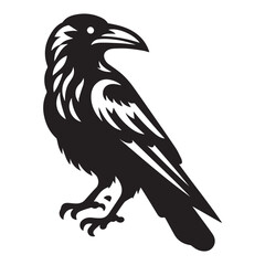 Crow silhouette black and white vector icon