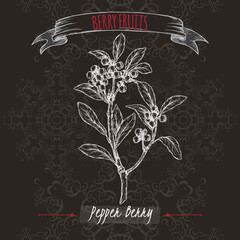 Tasmannia lanceolata aka pepper berry branch sketch on black background. Berry fruits series.