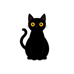 black cat on white background