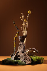 Contemporary still life with dried hydrangea, dried eryngium flowers and brown corkscrew on a dark background Northern natural composition with lichen, moss, branches, dried flowers and driftwood.