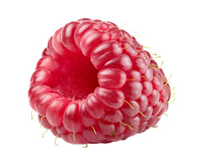 framboise en gros plan
