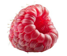 framboise en gros plan
