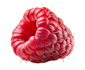 framboise en gros plan