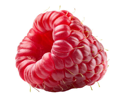 framboise en gros plan
