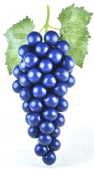 Fototapeta premium Vibrant Blue Grapes Bunch Isolated on White Background