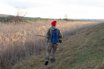 Mature hunter man holding a shotgun and walking through a field